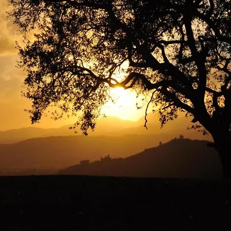 Capannori Playful Tatil Evi Lucca